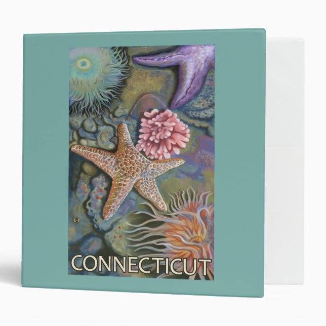 ConnecticutTidepool Scene 3 Ring Binder (Front/Inside)