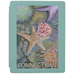 ConnecticutTidepool Scene iPad Smart Cover