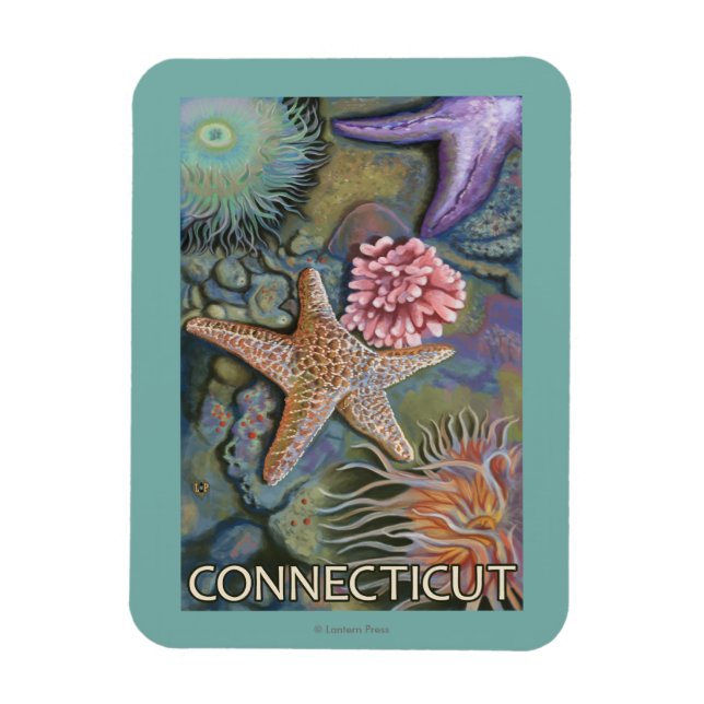 ConnecticutTidepool Scene Magnet (Vertical)