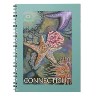 ConnecticutTidepool Scene Notebook
