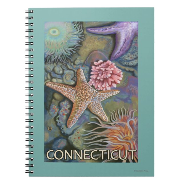 ConnecticutTidepool Scene Notebook (Front)