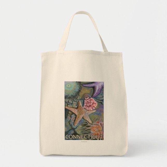 ConnecticutTidepool Scene Tote Bag (Front)