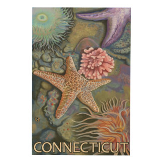 ConnecticutTidepool Scene Wood Wall Decor