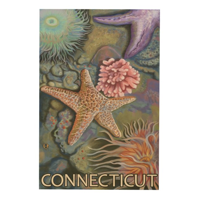 ConnecticutTidepool Scene Wood Wall Decor (Front)