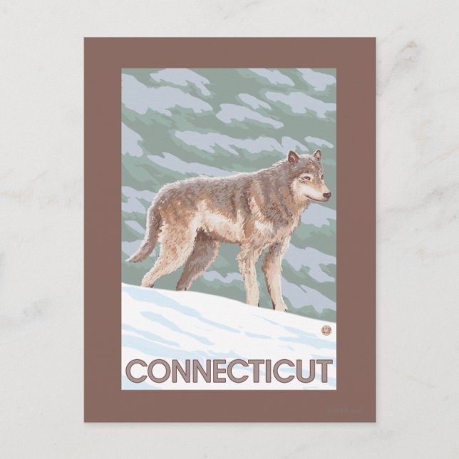 ConnecticutWolf Scene Postcard (Front)