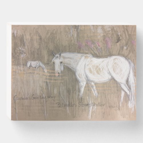 Connemara ponies colored pencil drawing on beige wooden box sign