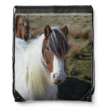 Connemara Pony Drawstring Bag