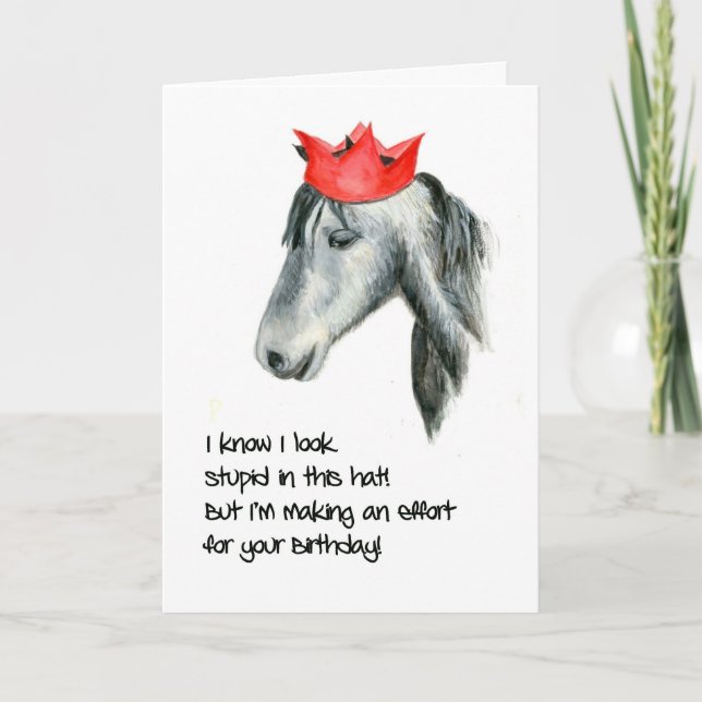 Connemara Pony Humorous Birthday Card (Front)