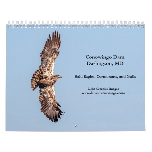 Conowingo Dam 2024 Calendar