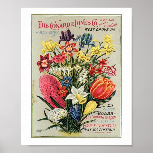 Conrad & Jones 1897 Rose and Plant Growers Poster (Front)