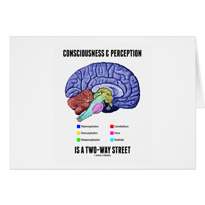Consciousness Perception Is A Two Way Street Brain Card