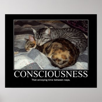 Consciousness..that Annoying Time Cat Artwork Poster by artisticcats at Zazzle