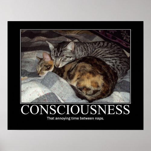 ConsciousnessThat Annoying Time Cat Artwork Poster