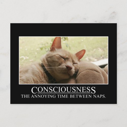 Consciousness the annoying time between naps postcard