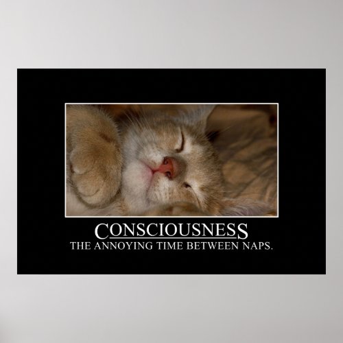 Consciousness the annoying time between naps XL Poster