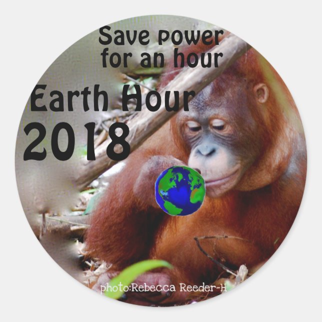 Conservation Earth Hour Classic Round Sticker (Front)