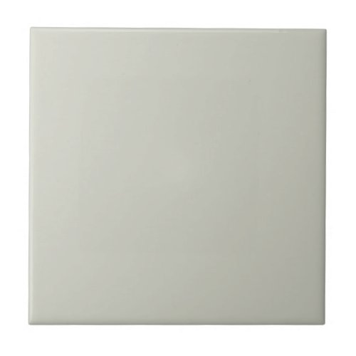 Conservatively Gray Square Kitchen and Bathroom Ceramic Tile