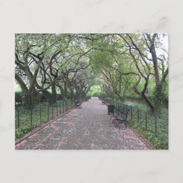 Conservatory Garden Central Park New York City NYC Postcard (Front)