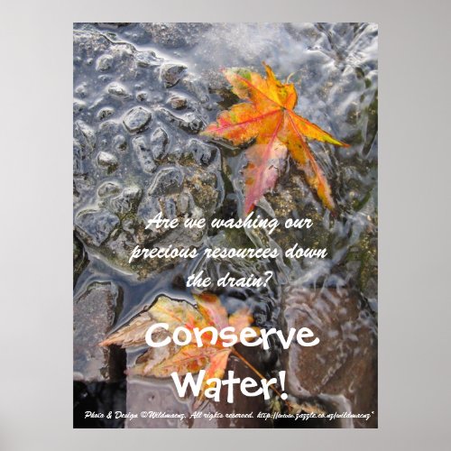 Conserve Water Poster