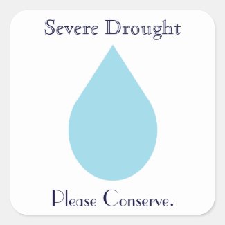 Conserve Water Square Sticker