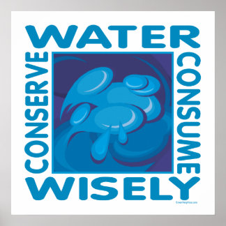 Conserve Water - Use Wisely Poster