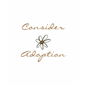 Consider Adoption Daisy shirt