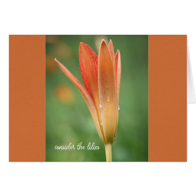 Consider the lilies fade Parakaleo note card (Front Horizontal)