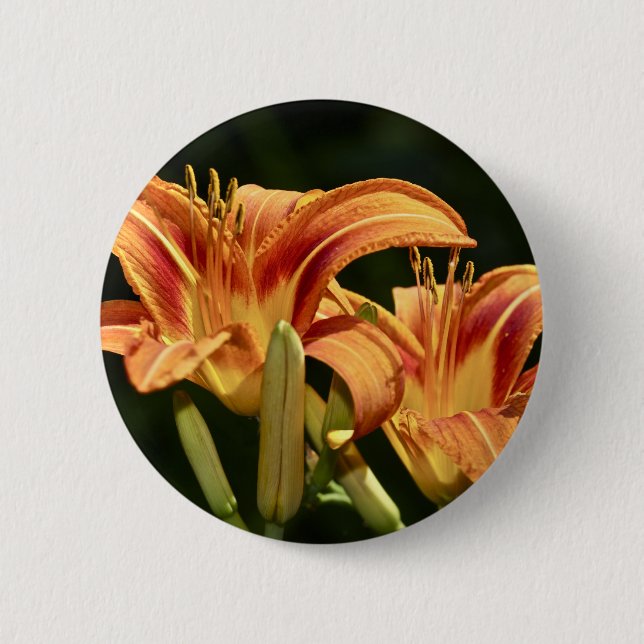 Consider The Lilies Of The Field Pinback Button (Front)