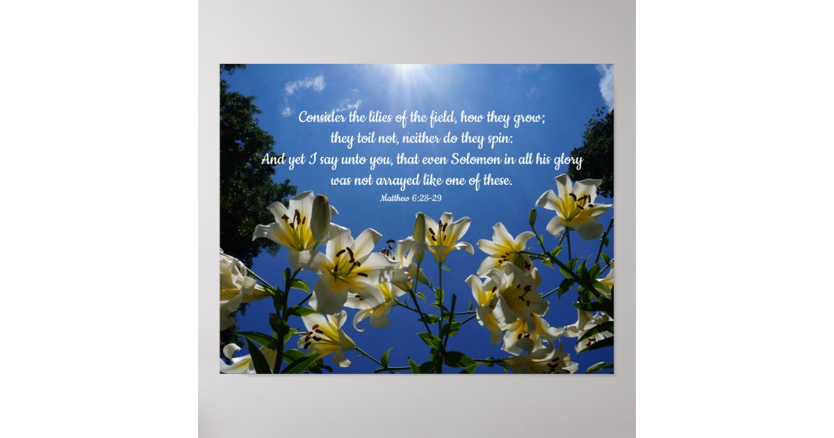 Consider The Lilies with KJV Scripture Poster