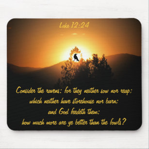 Luke 12:24 - Bible verse (KJV) 