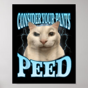 Consider Your Pants Peed Funny Freak Cat Meme Humo Poster