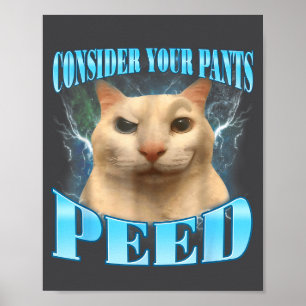 Consider Your Pants Peed Funny Freak Cat Meme Humo Poster
