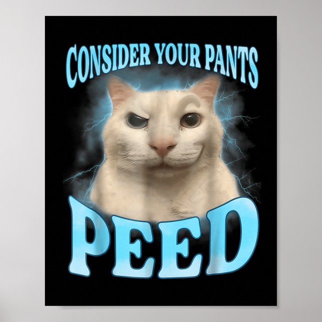 Consider Your Pants Peed Funny Freak Cat Meme Humo Poster (Front)