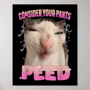 Consider Your Pants Peed Silly Cat Meme Funny Men Poster