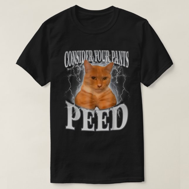 Consider Your Pants Peed Silly Cat Meme Funny T-Shirt (Design Front)
