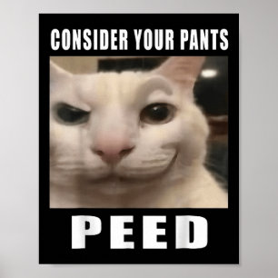 Consider Your Pants Peed Silly Cat Meme Men Women Poster
