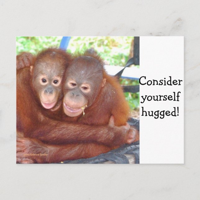 Consider Yourself Hugged Postcard (Front)