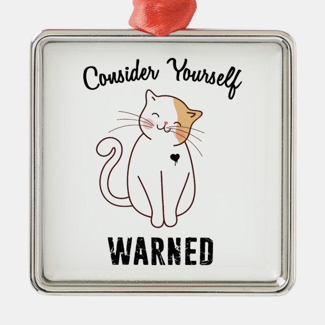 Consider Yourself Warned Evil Cat Metal Ornament (Front)
