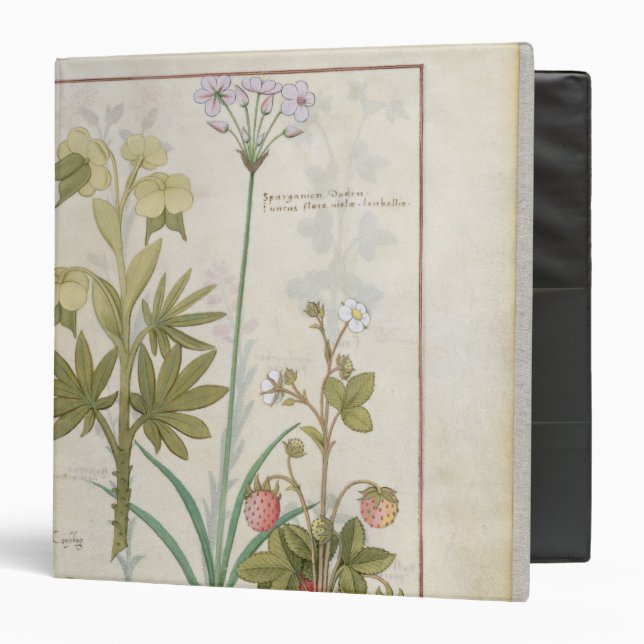 Consiligo, Burreed and Strawberry Binder (Front/Inside)