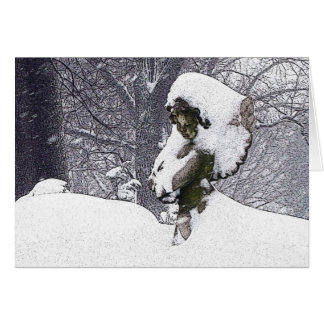 Consoling Angel • Cherub Cards