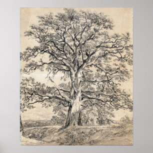 Constable - A Great Oak Tree 1801 Poster