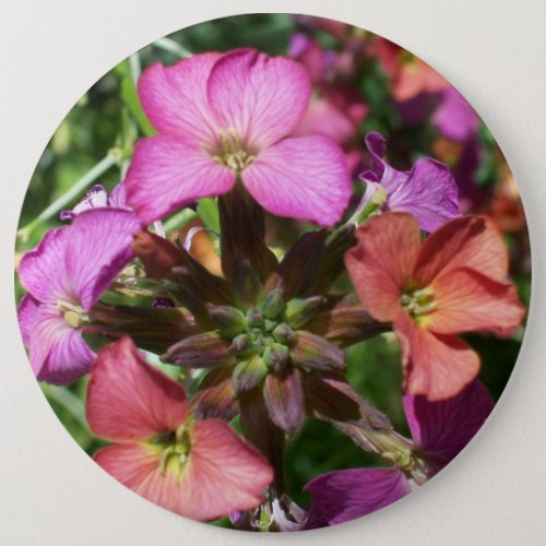 Constant Cheer Wallflower Button or Badge