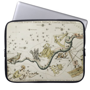 Constellation Noctua Laptop Sleeve