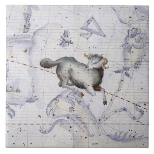 Constellation of Aries plate 4 from Atlas Coeles Tile