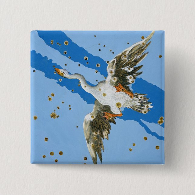 Constellation of Cygnus, from 'Uranometria' writte Pinback Button (Front)