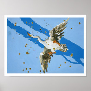 Constellation of Cygnus, from 'Uranometria' writte Poster