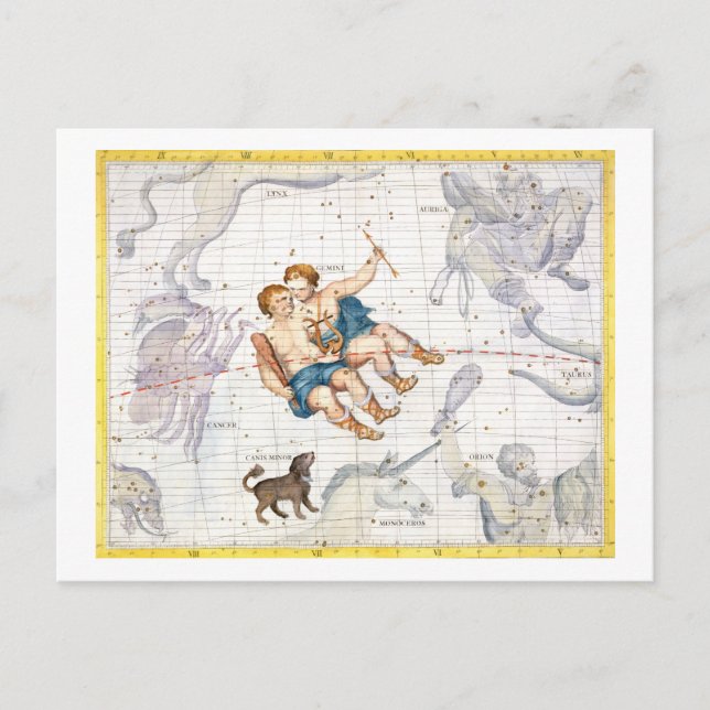 Constellation of Gemini with Canis Minor, plate 13 Postcard (Front)