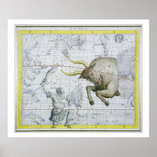 Constellation of Taurus, plate 2 from 'Atlas Coele Poster