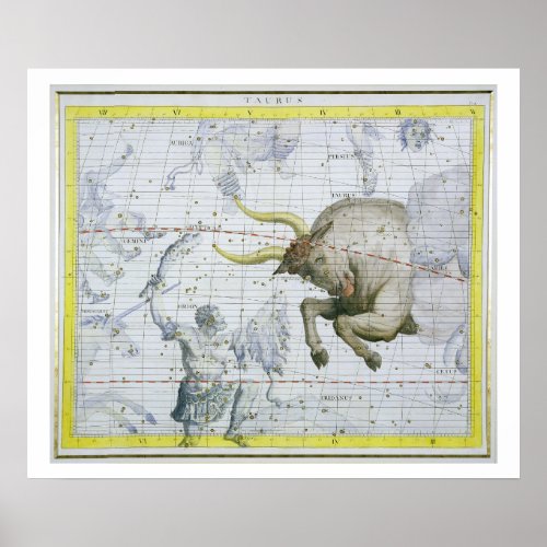 Constellation of Taurus plate 2 from Atlas Coele Poster