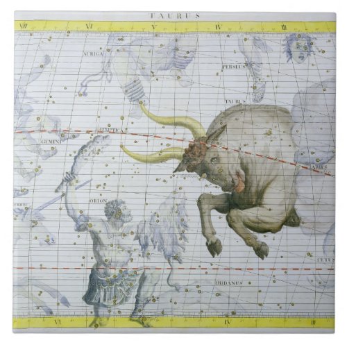 Constellation of Taurus plate 2 from Atlas Coele Tile